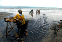 Gold Miner