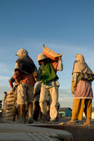Dock Workers